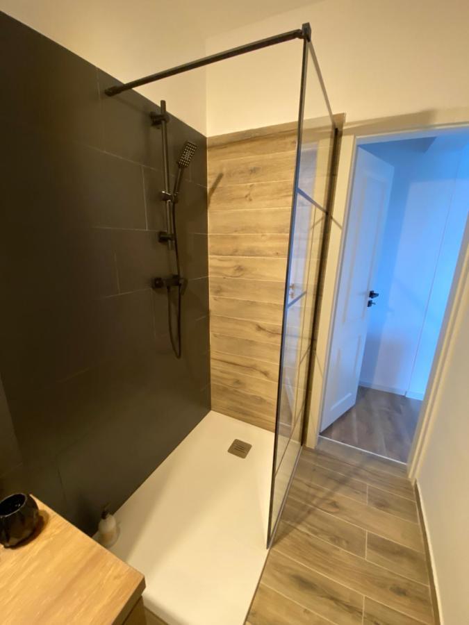 דירות טימישוארה Doinei Cozy Flat מראה חיצוני תמונה