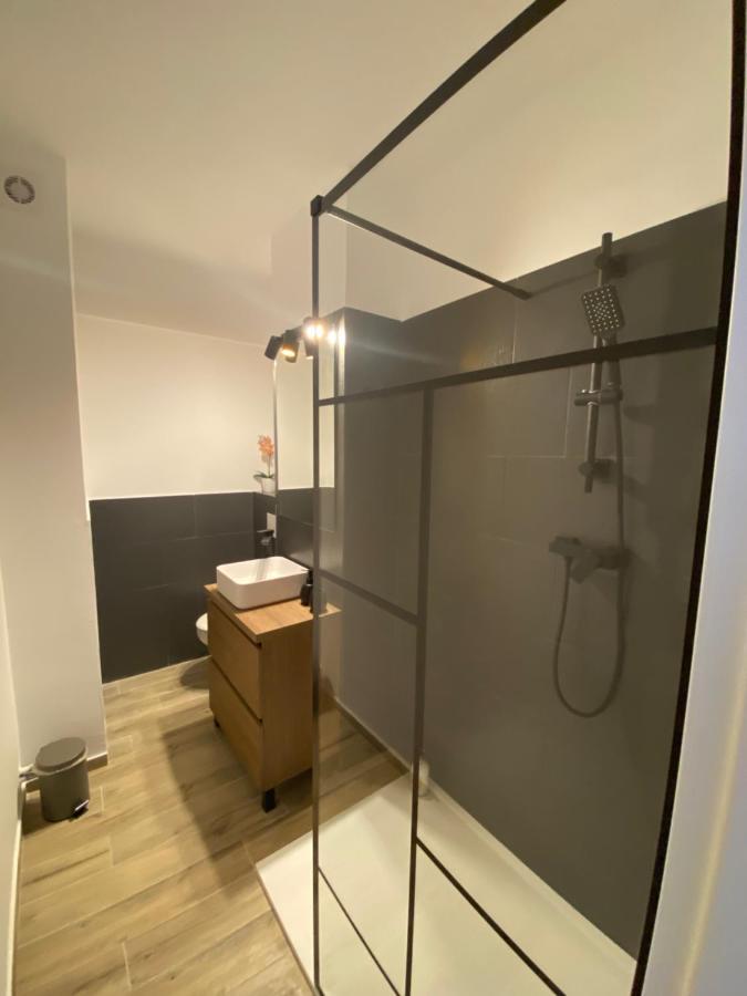 דירות טימישוארה Doinei Cozy Flat מראה חיצוני תמונה