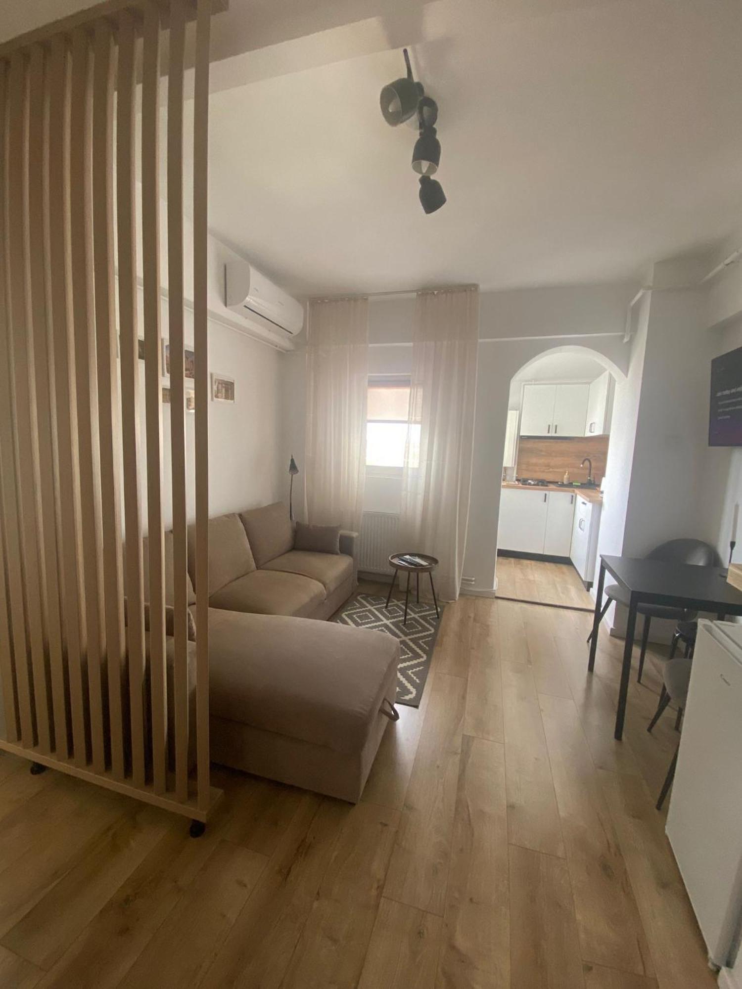 דירות טימישוארה Doinei Cozy Flat מראה חיצוני תמונה